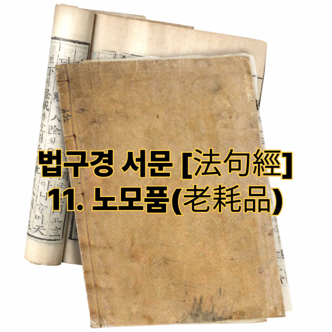 법구경 서문 [法句經] - 11. 노모품(老耗品)