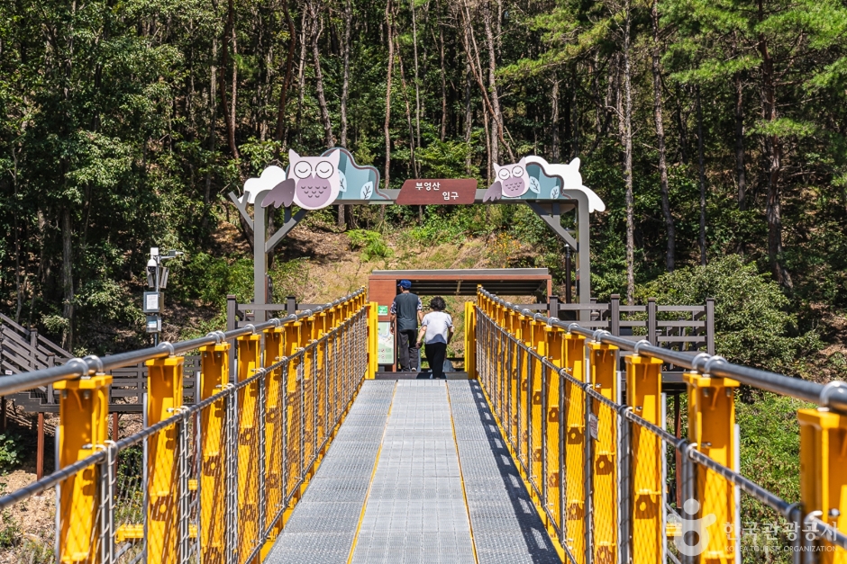 금산 가볼만한곳 베스트10