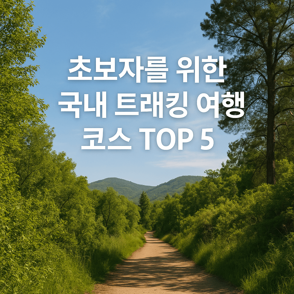 초보자를 위한 국내 트래킹 여행 코스 TOP 5