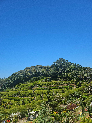 나의 계절을 지나 우리라는 숲이 되기까지