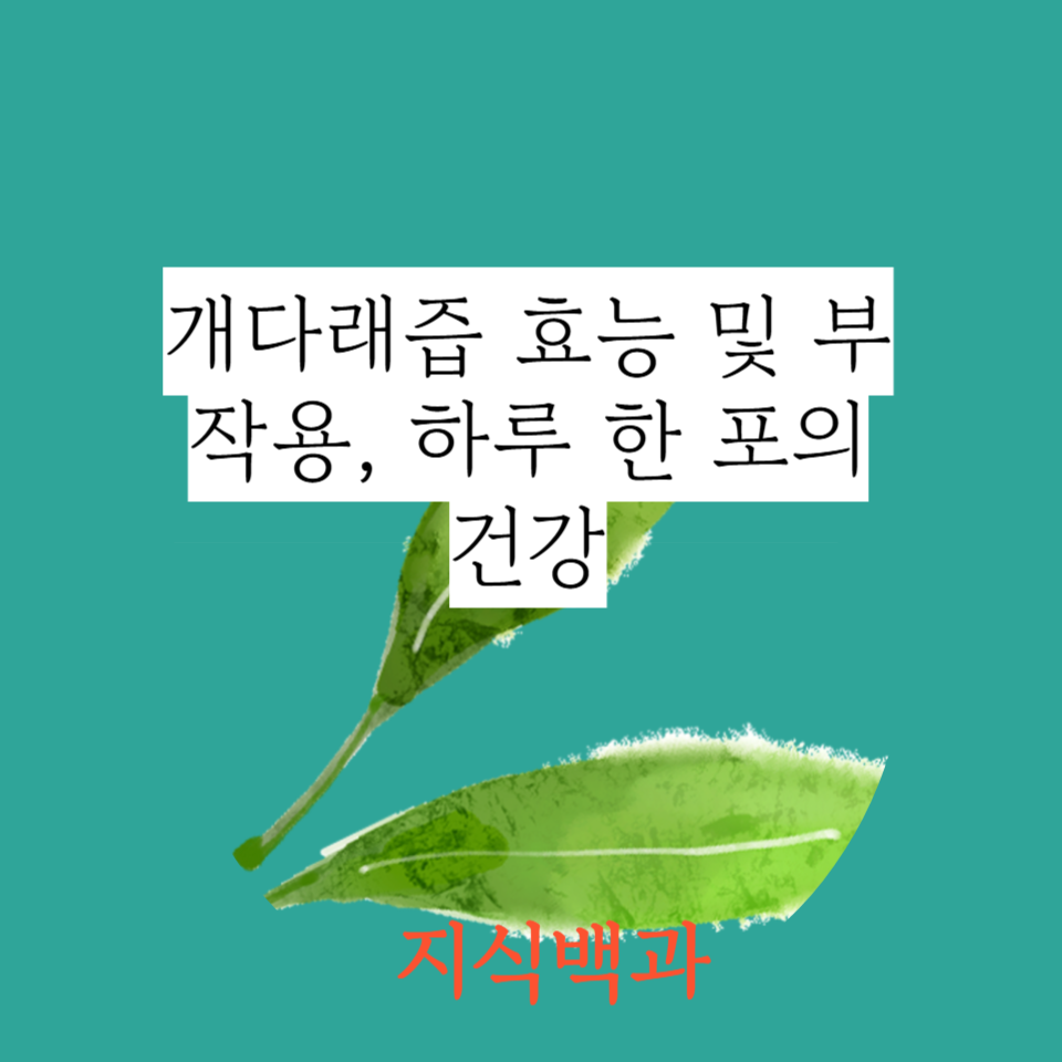 개다래즙 효능 및 부작용, 하루 한 포의 건강