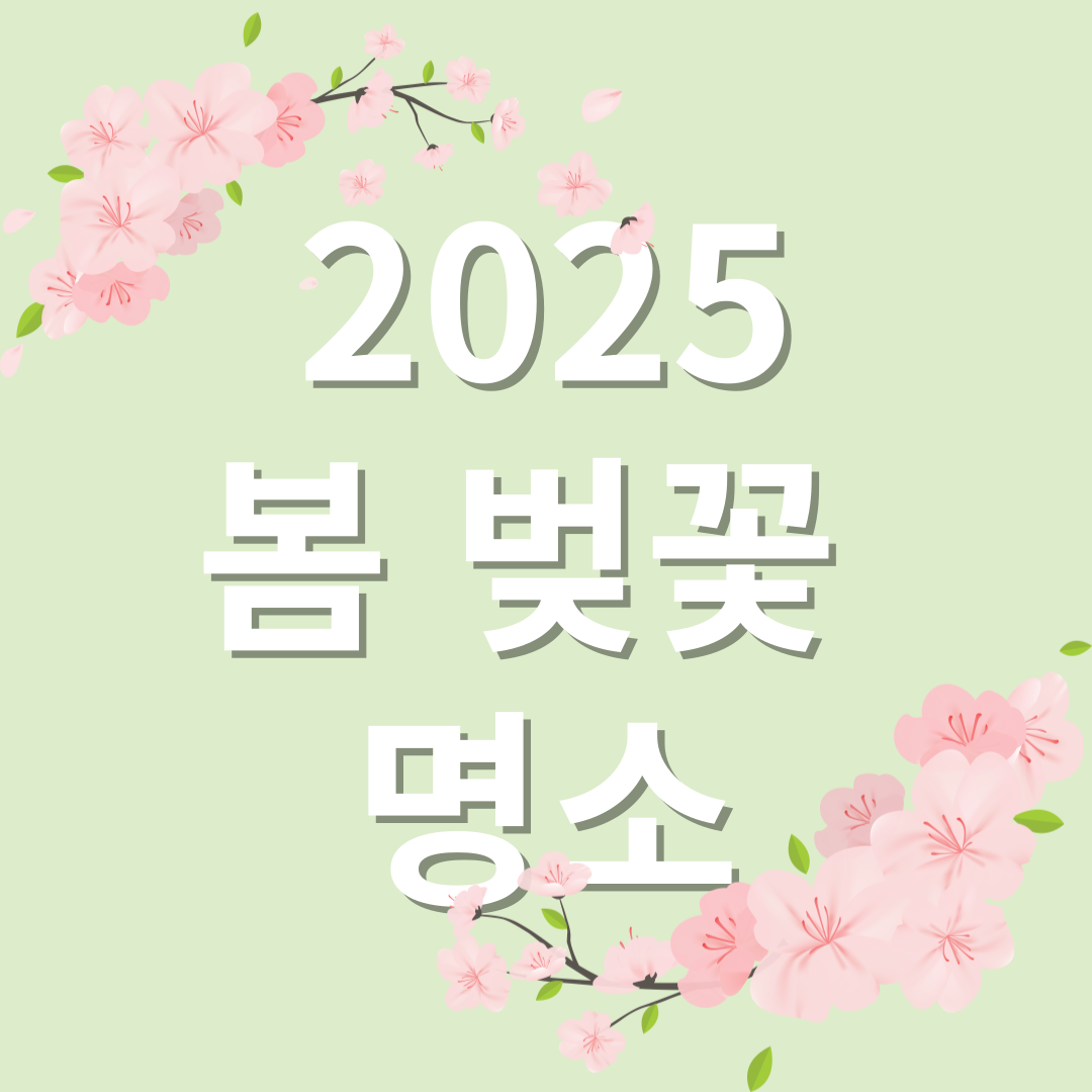 벚꽃 명소 추천 관련 이미지