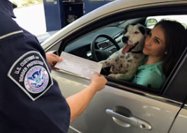 운전면허 갱신 방법 완벽 가이드