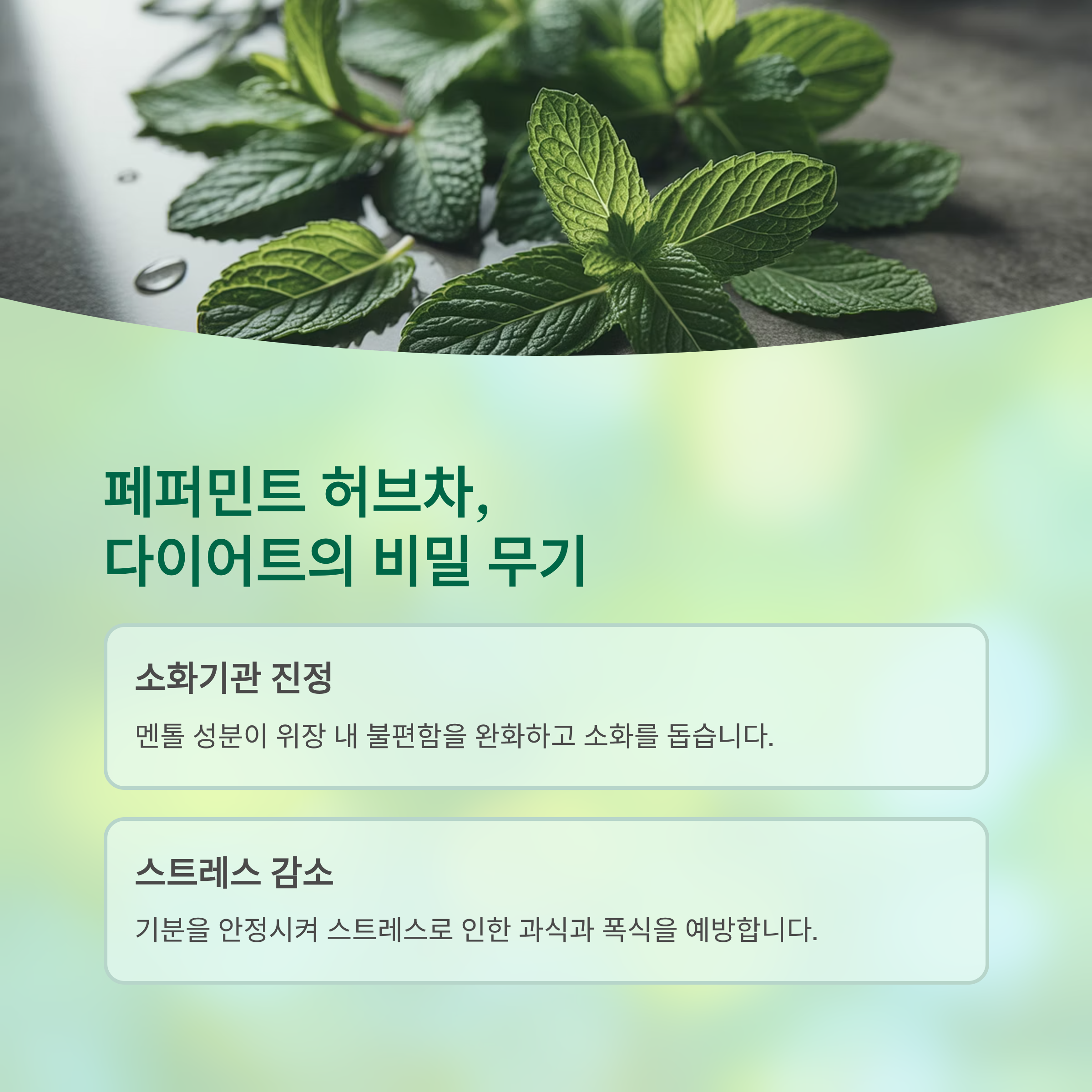 페퍼민트 허브차, 왜 다이어트에 좋을까요?
