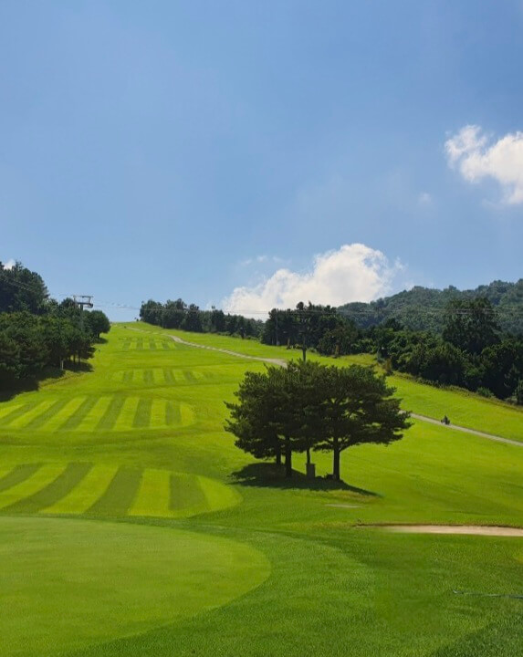 소노펠리체CC비발디파크마운틴 코스전경