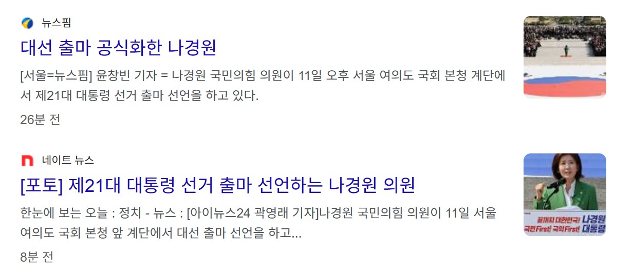 나경원 대선 출마