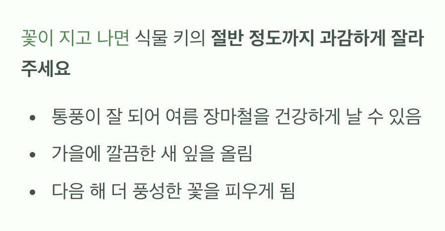 꽃이 진 후&amp;#44; &amp;#39;과감한 이발&amp;#39;의 중요성