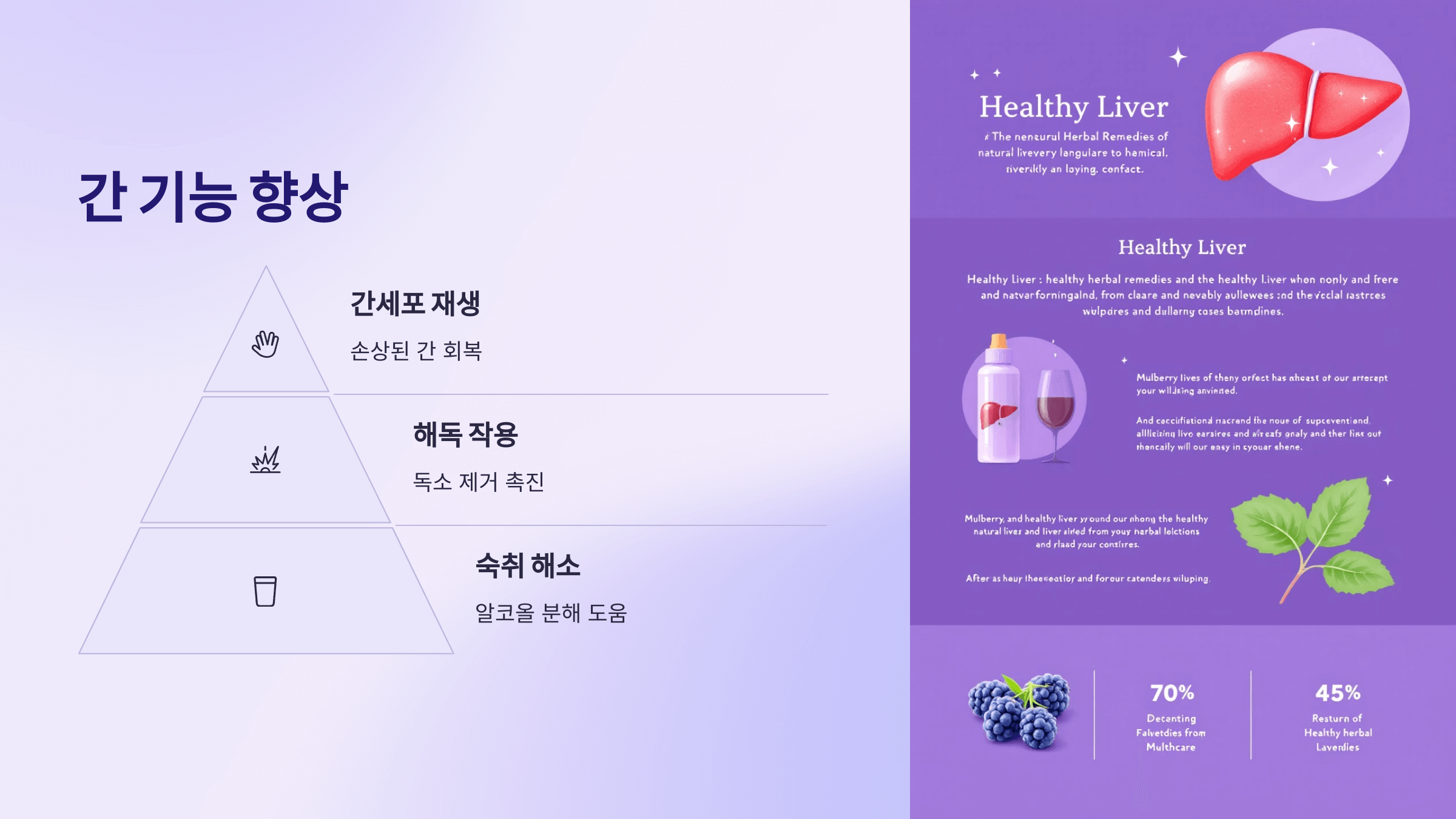 오디 사진입니다.