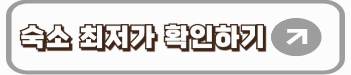 2025 제주도 여름휴가 완벽 가이드｜해변, 맛집, 액티비티까지!