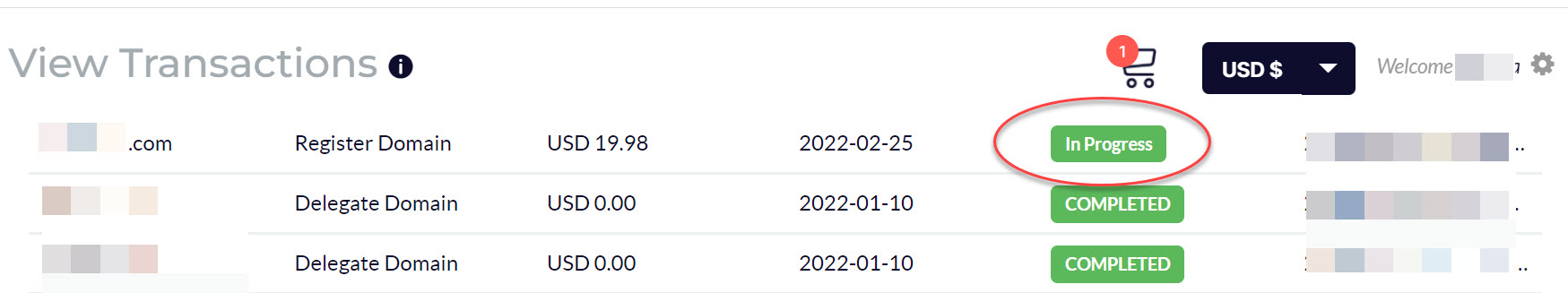 도메인 등록 후 대기 상태
