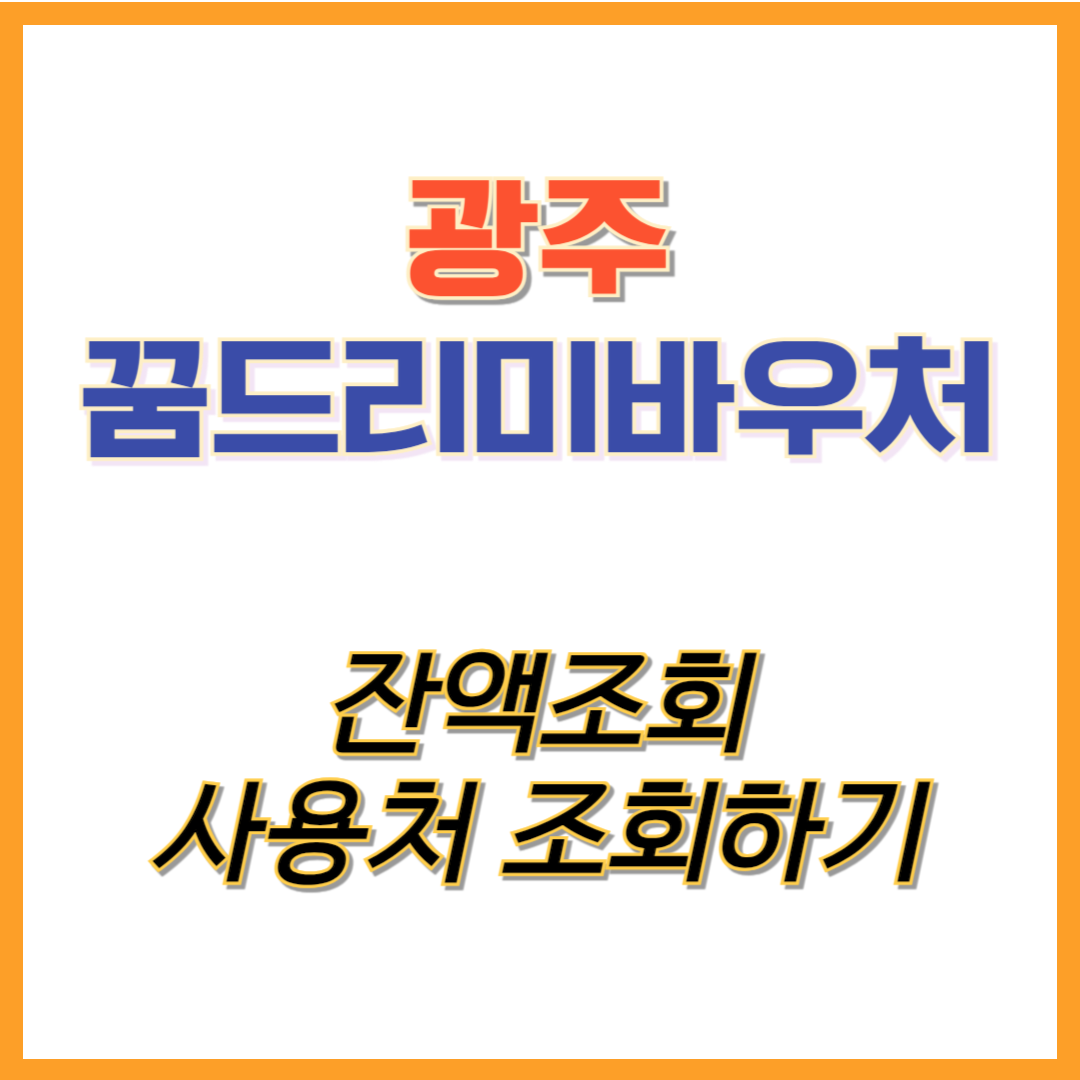 꿈드리미바우처 잔액조회와 사용처를 알아보세요