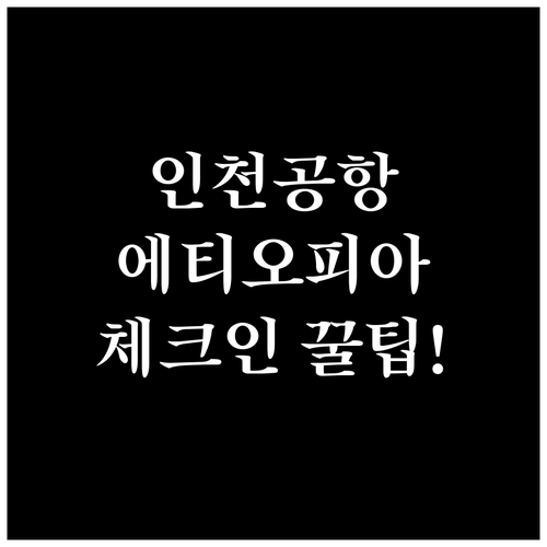 인천공항 에티오피아항공 제1터미널 체..
