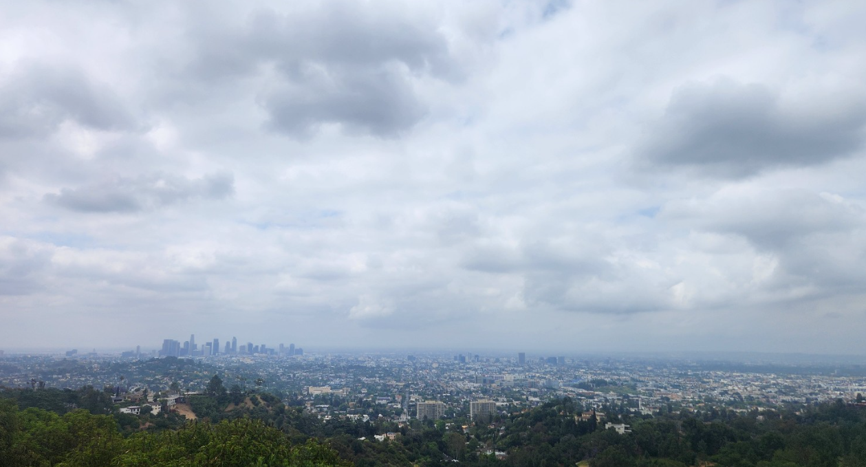 그리피스 파크 트레일 위에서 바라본 로스앤젤레스 시내 전경 이미지