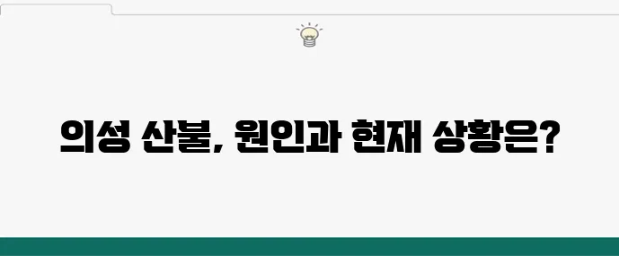 의성산불 발생 원인과 대응 상황 정리