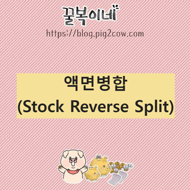경제공부