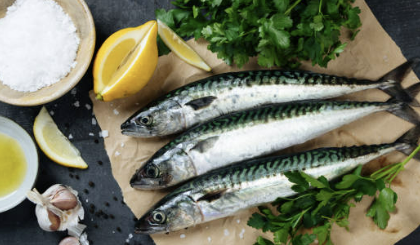 면역력을 높이는 음식 BEST10