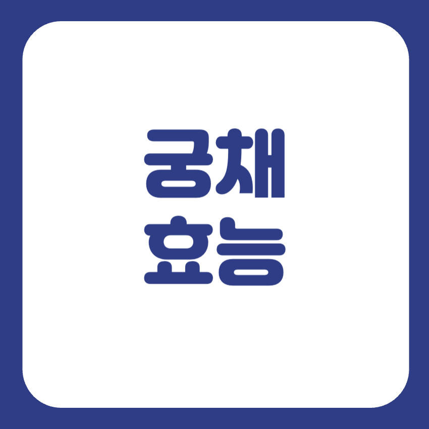 궁채효능