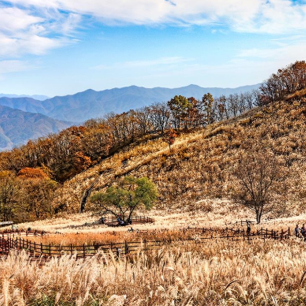포천 명성산