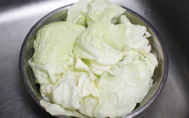 배탈 설사 좋은 음식 양배추,팁줌