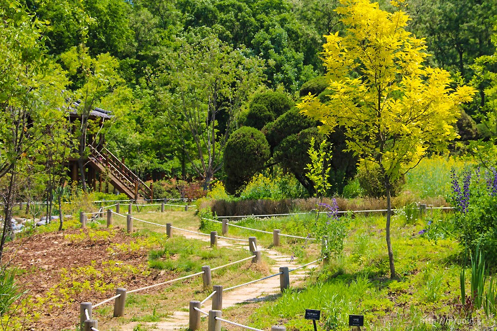 부천 무릉도원수목원의 테마 정원과 식물원 – 도심 속 숨은 자연 쉼터
