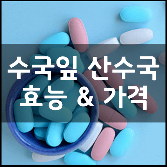 SKN-산수국-수국잎-열수-추출물-분말-가루-효능-5가지-부작용-가격-추천-썸네일