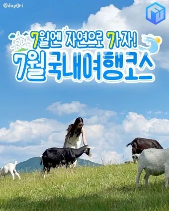 7월 국내 여행지 추천 BEST 리스트_2