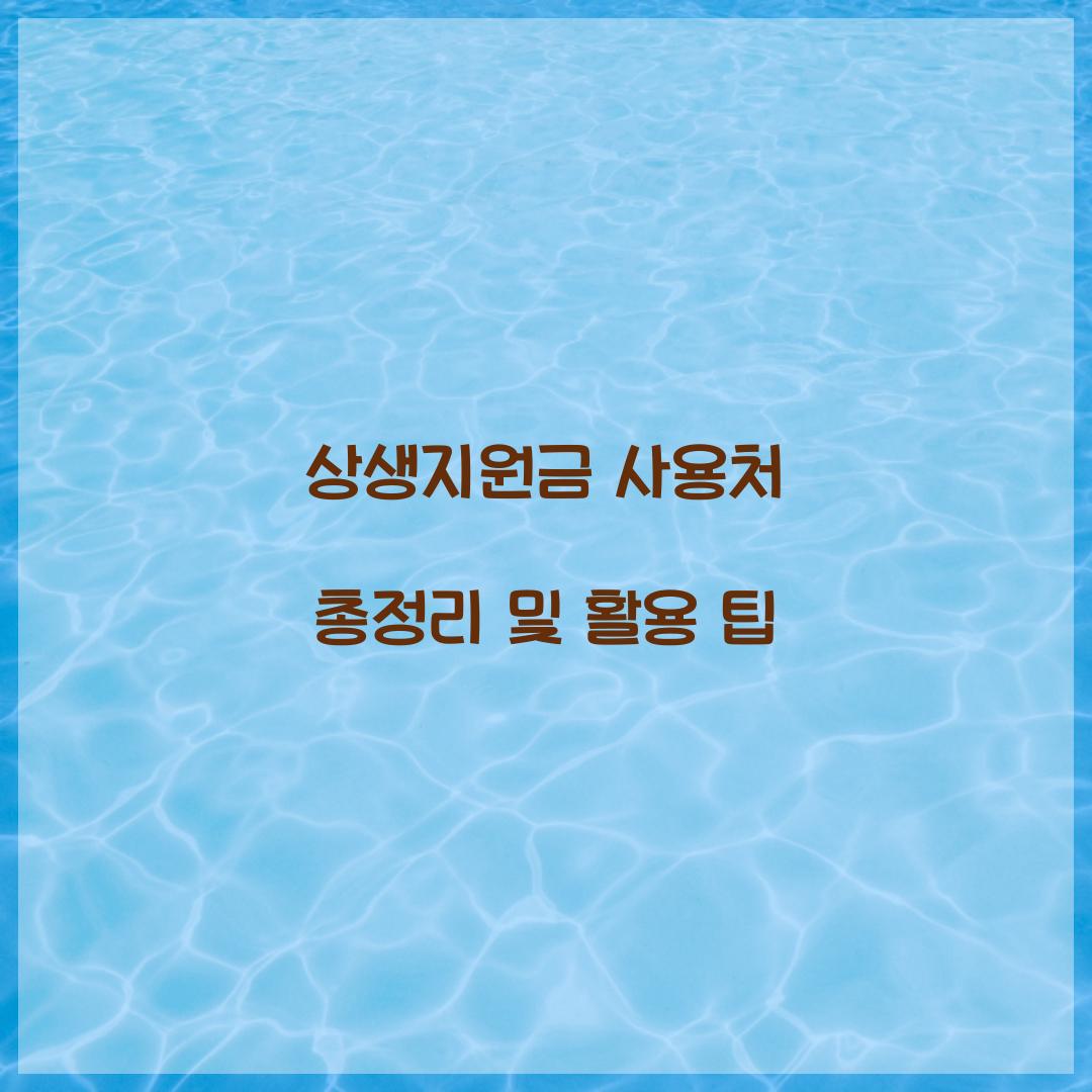 상생지원금 사용처