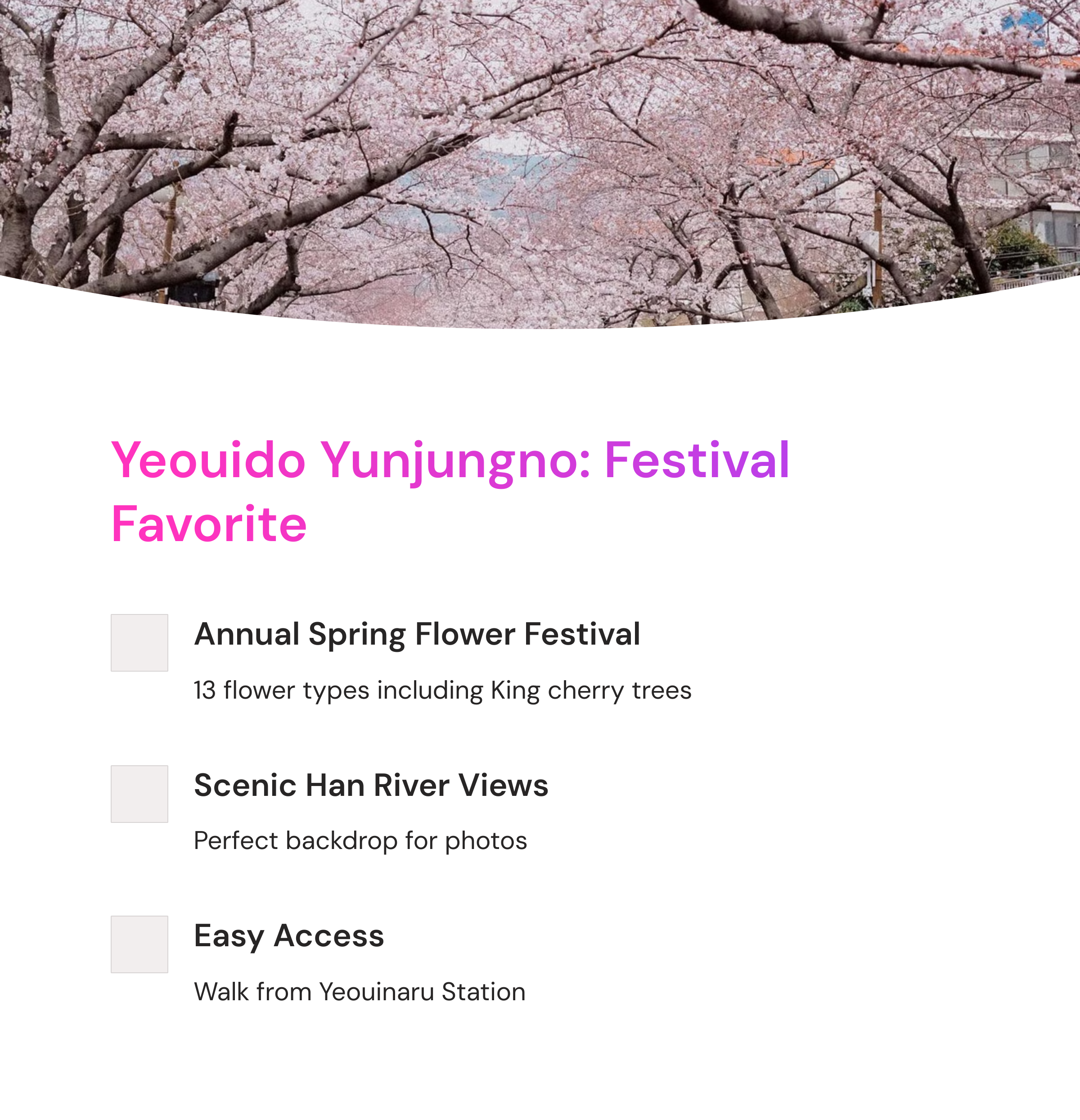 2025 Seoul Cherry Blossom Top 10 Complete Guide - From Instagram Hotspots to Hidden Gems