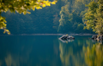 2025년 국민은행 부동산시세 확인 방법 3