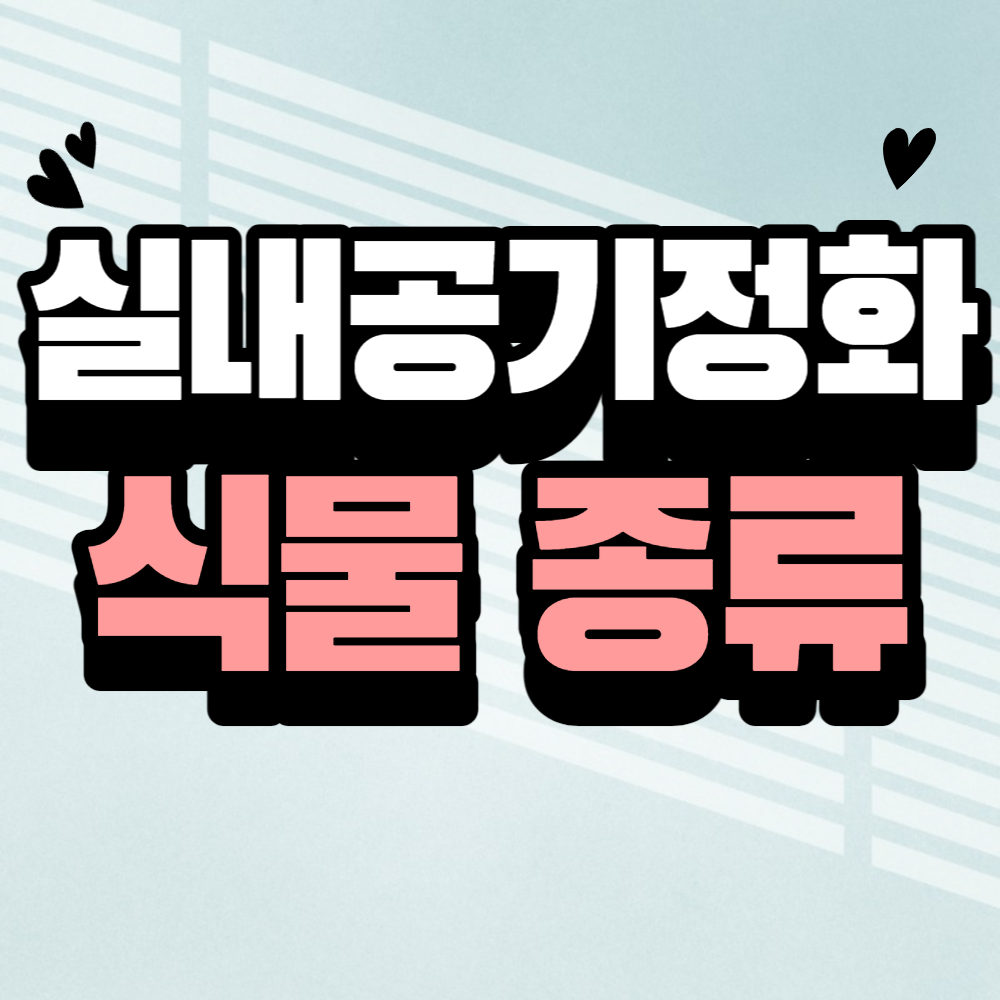 실내 공기정화 식물 종류