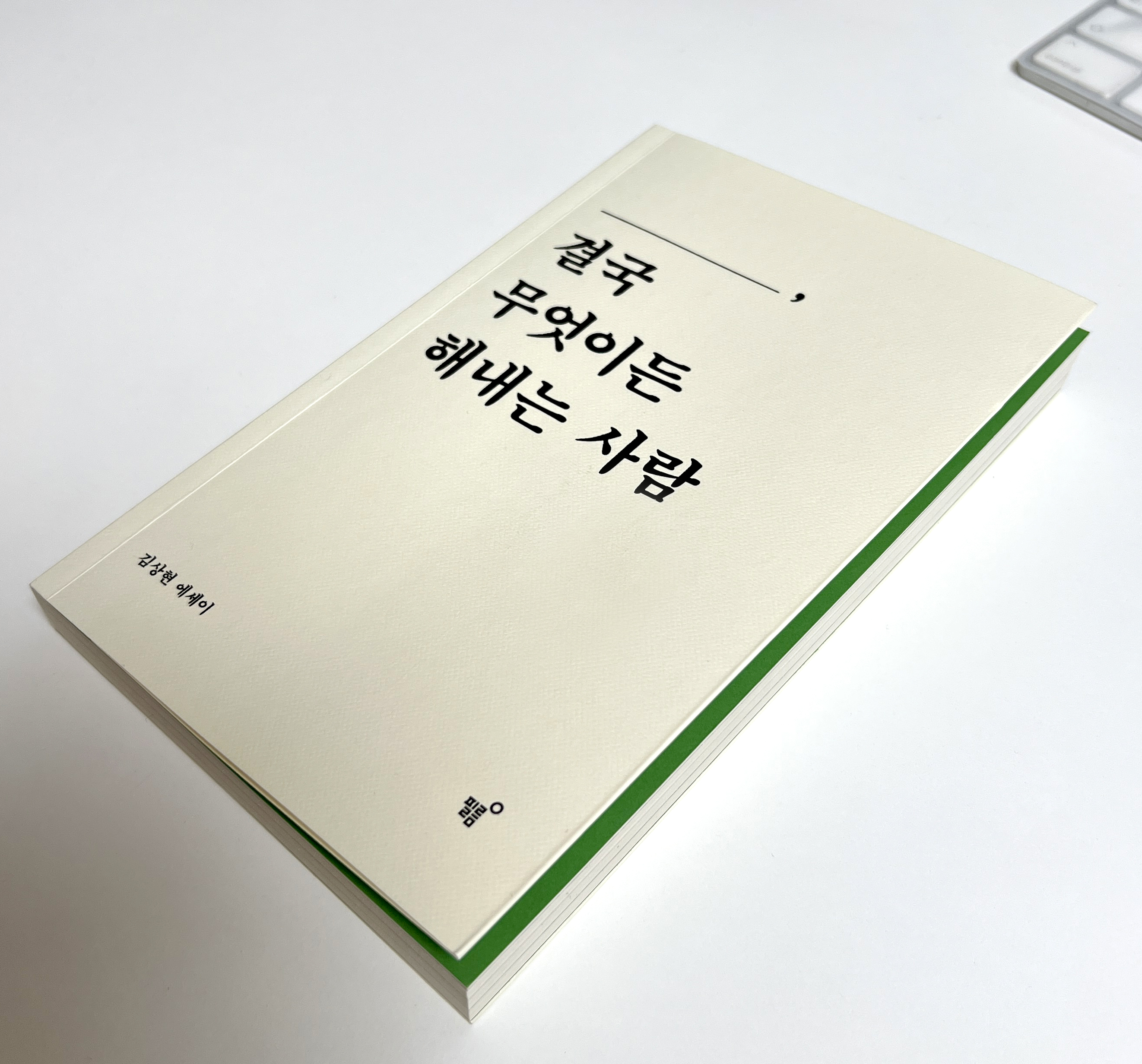 당신은 결국 무엇이든 해내는 사람 책 표지
