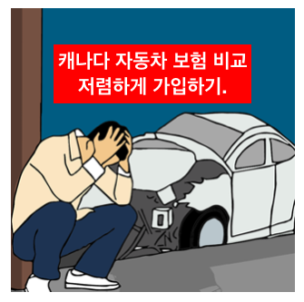 캐나다 자동차 보험