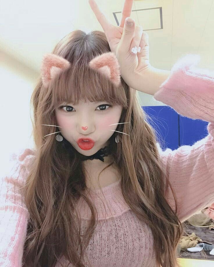 김채원 사진 모음