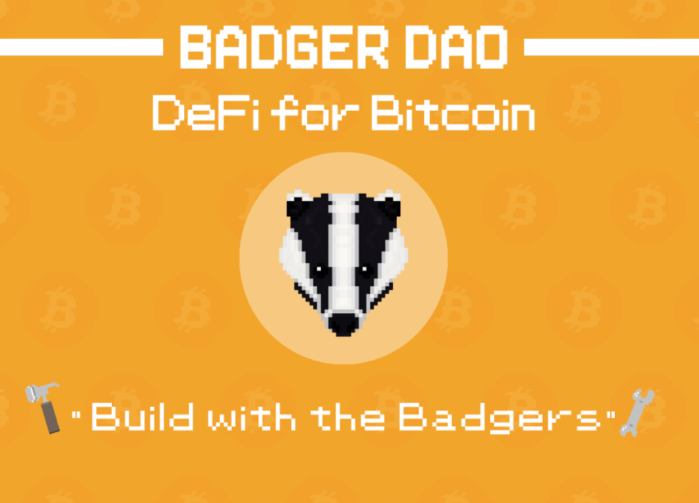 뱃저다오(Badger DAO) 코인