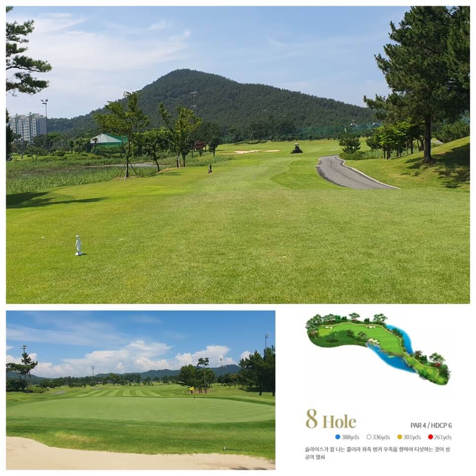 골프장 경험담 태안 스톤비치CC 완벽 가이드 서해 바다와 맞닿은 프리미엄 골프명소