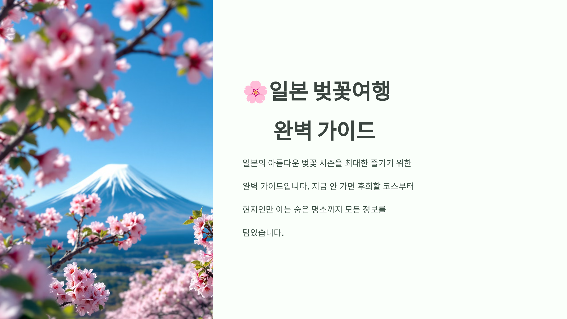 🌸 일본 벚꽃여행, 지금 안 가면 후회할 코스!