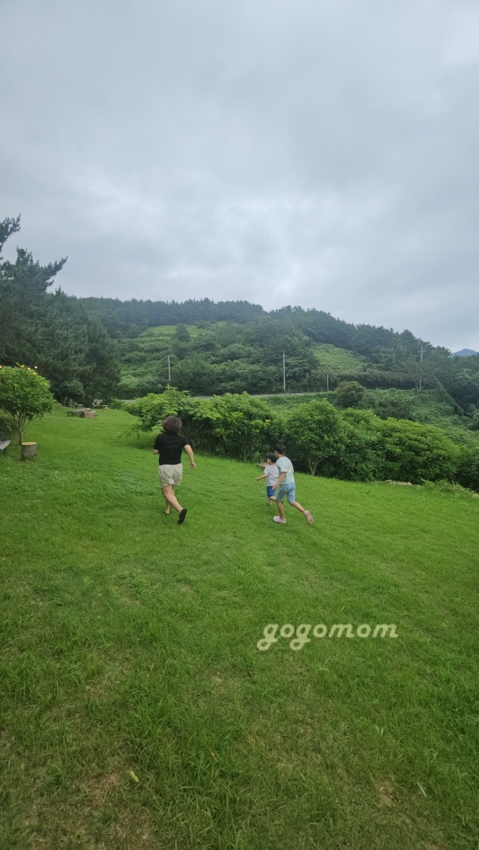 언덕의바람