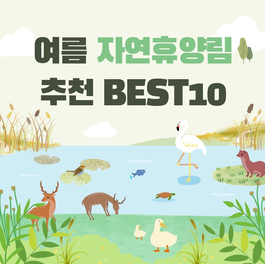 여름-추천-자연휴양림
