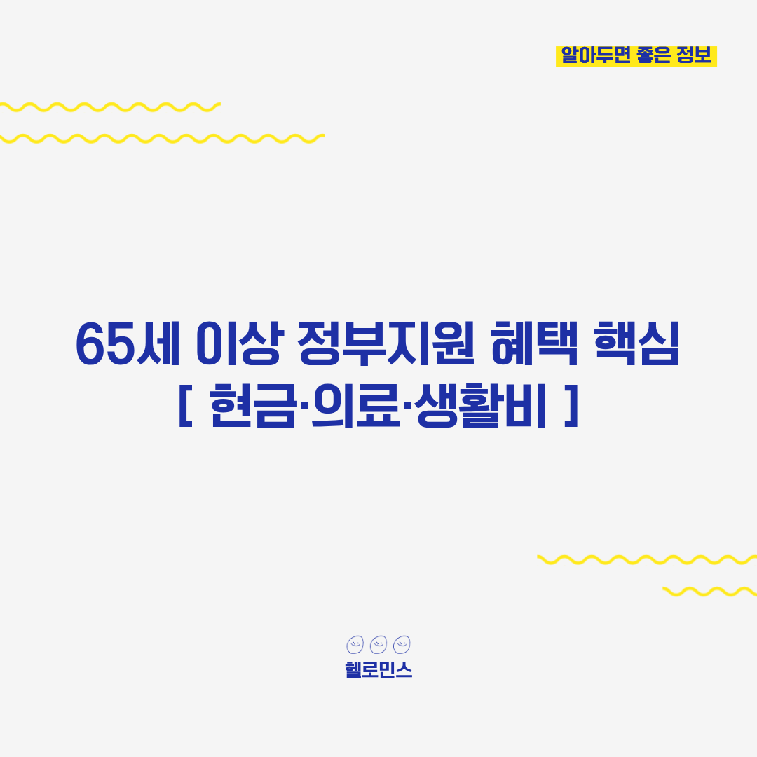 65세 이상 정부지원 혜택_2