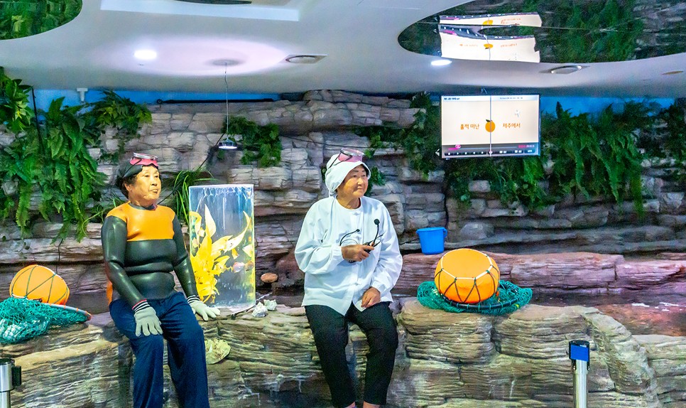 제주 동쪽 가볼만한곳 (아쿠아플라넷 제주)