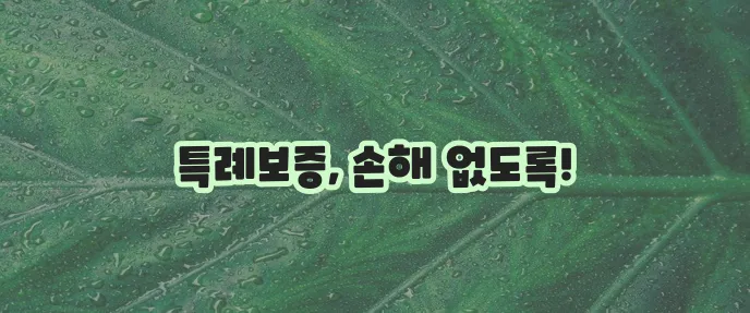 햇살론15 특례보증 신청 전 알아야 할 사항 꼭 확인하세요!