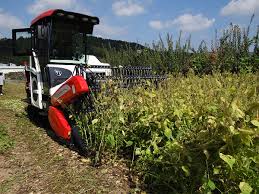 농민수당 자격 확인