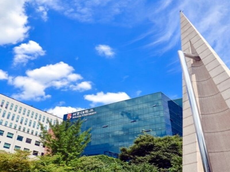 서강대학교