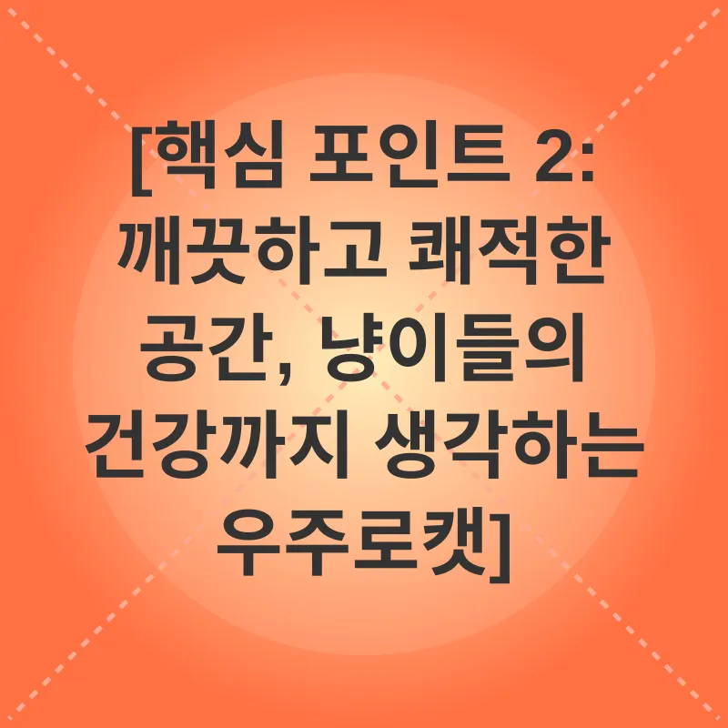 고양이 카페 체험_2