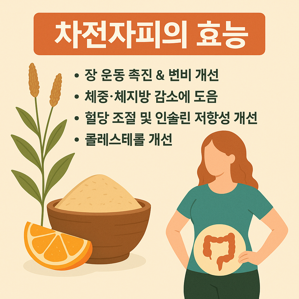 차전자피(사일륨 허스크)의 효능: 장 건강·체중 관리·혈당까지 잡는 식이섬유