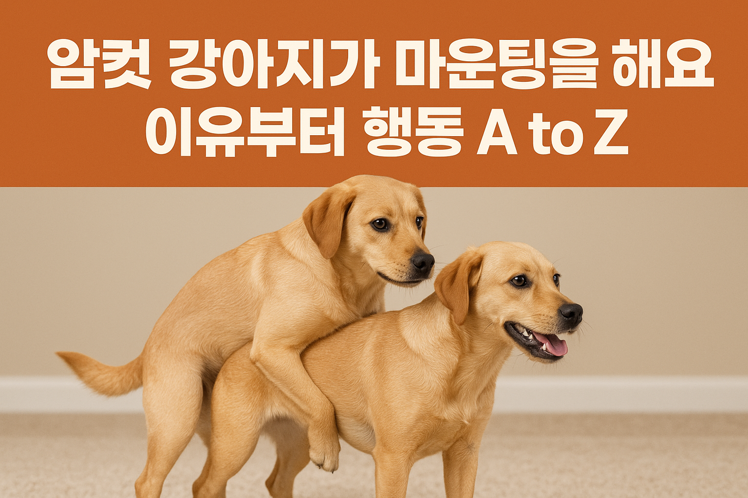 강아지 마운팅 이미지