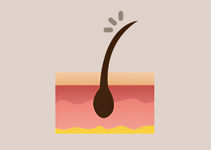 건강한-모발의-모습