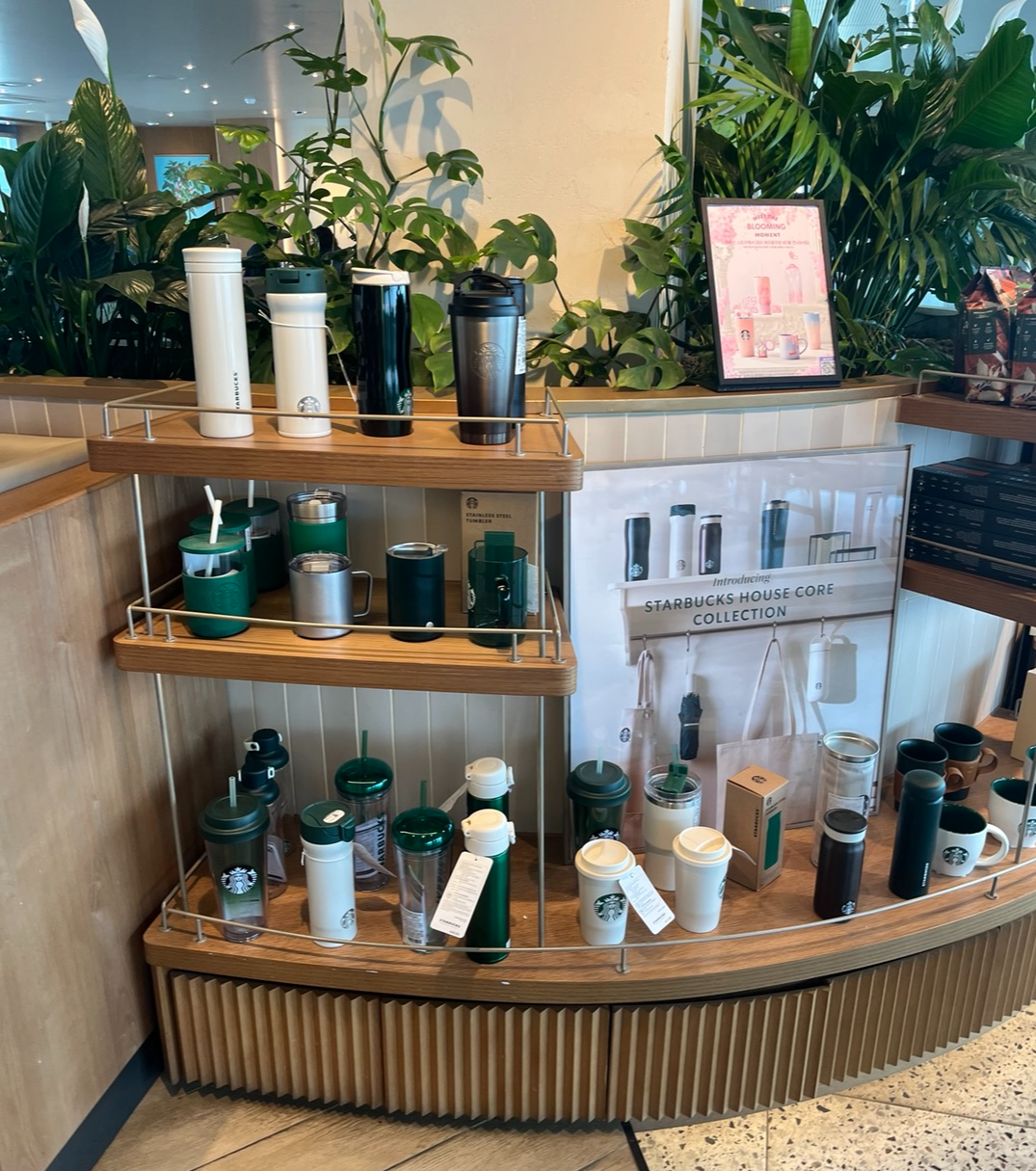 스타벅스 망원한강공원점