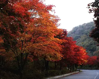 대둔산_13