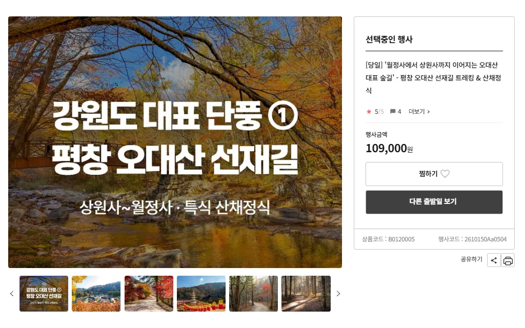 오대산 선재길 긍우여행사 버스 투어